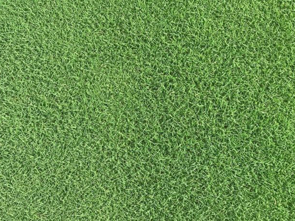 Latitude 36