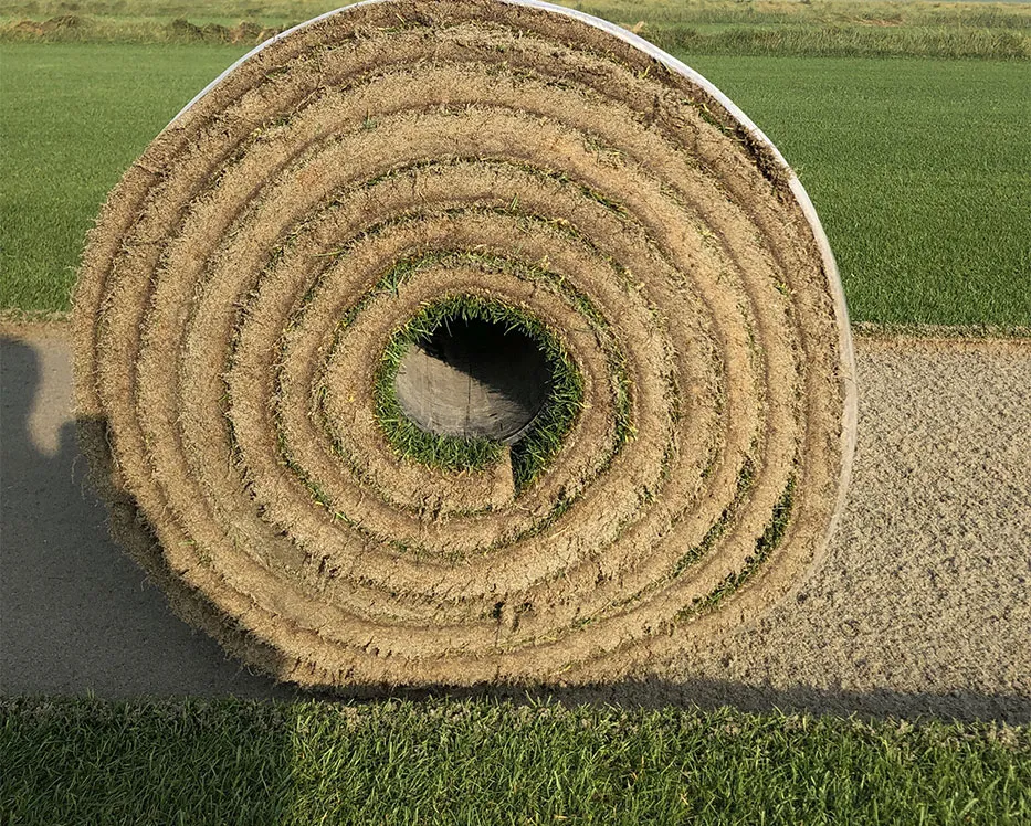 Green Floor Sod Farm