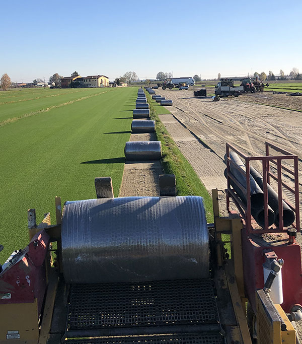 Green Floor Sod Farm