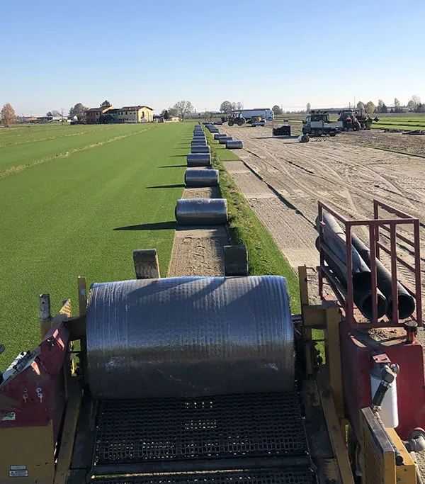 Green Floor Sod Farm