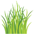 Green Floor Sod Farm