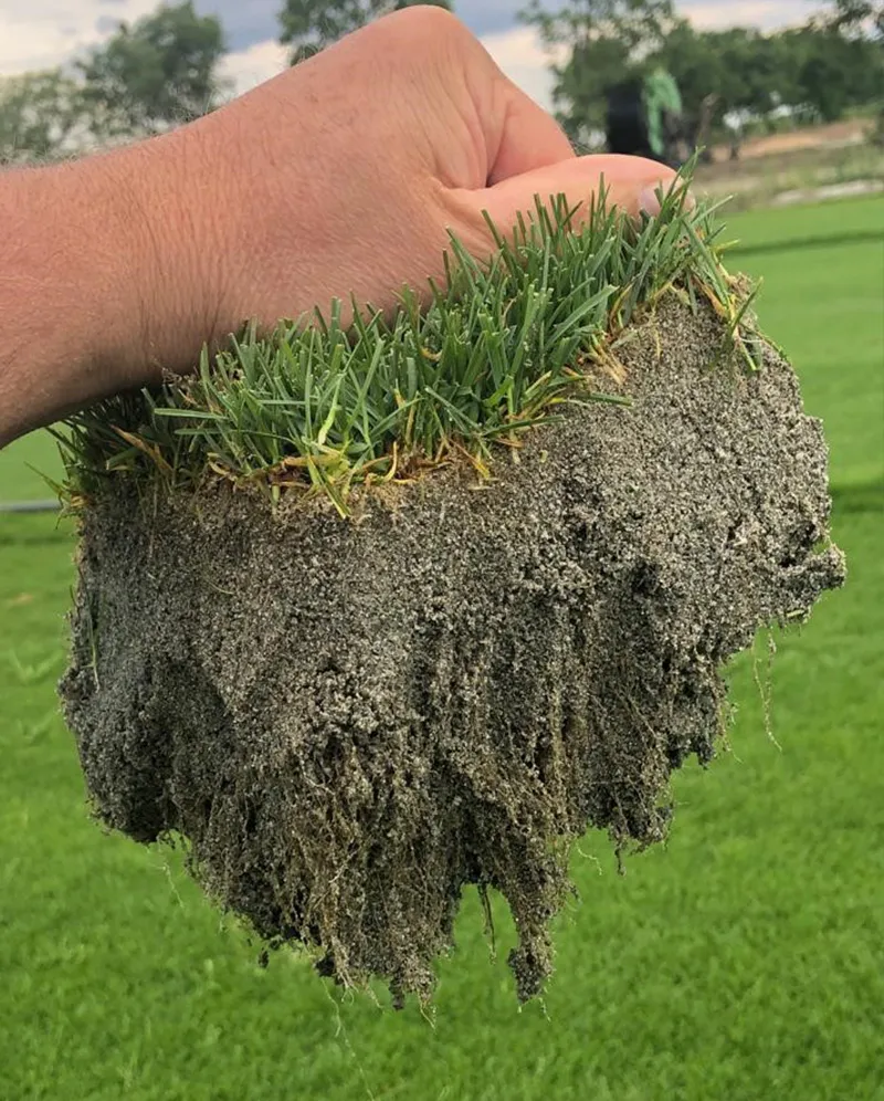 Green Floor Sod Farm